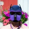 Pup Toy - Volunteer Herder